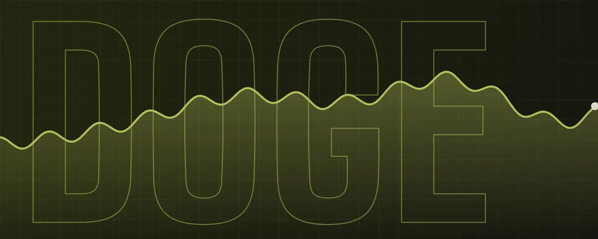 Decorative Dogecoin banner with an illustrative line, not real price data