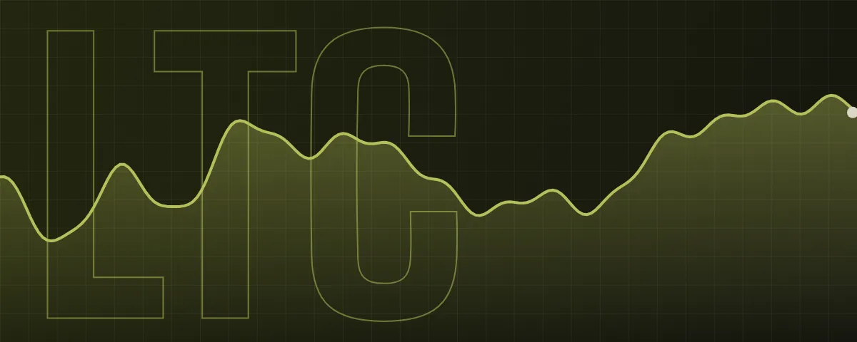 Decorative Litecoin banner with an illustrative line, not real price data